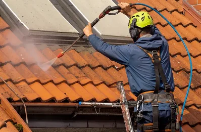 Démoussage et hydrofuge de toiture à Vœuil-et-Giget